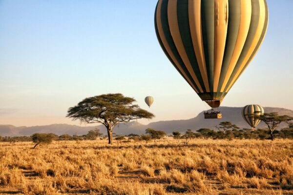 Luxury African Safaris