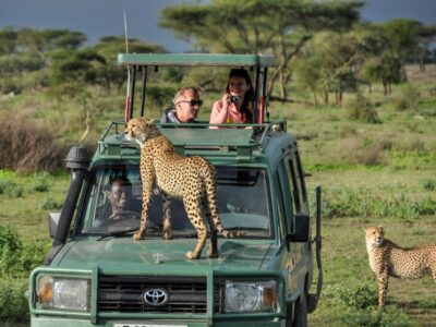 National Parks In Africa