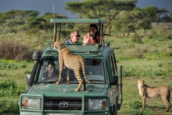 National Parks In Africa