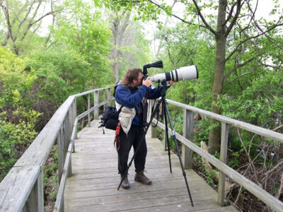 South Africa Birding Tours