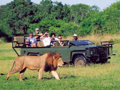 South Africa Safaris