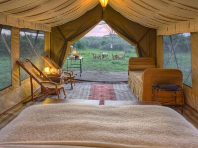 Tanzania Luxury Safaris