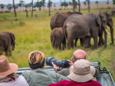 Budget African Safaris