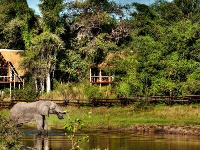 Congo River Lodge