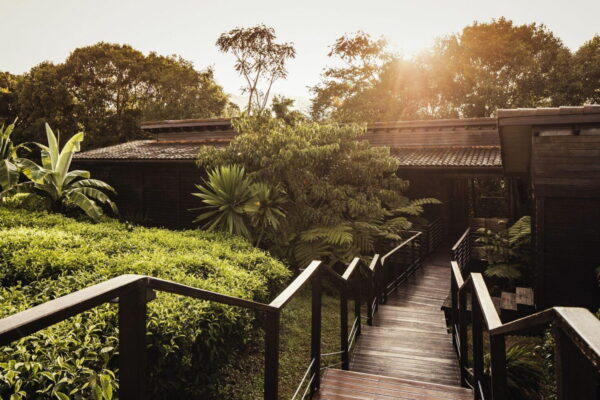 One&Only Nyungwe House, Rwanda
