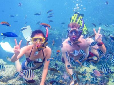 Private Snorkeling & Diving Excursions zanzibar