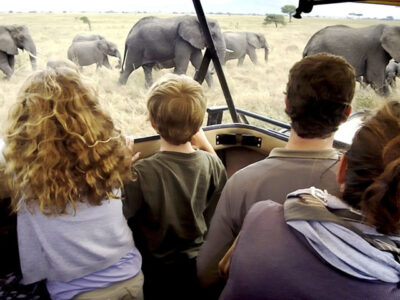 Tanzania Group Safaris