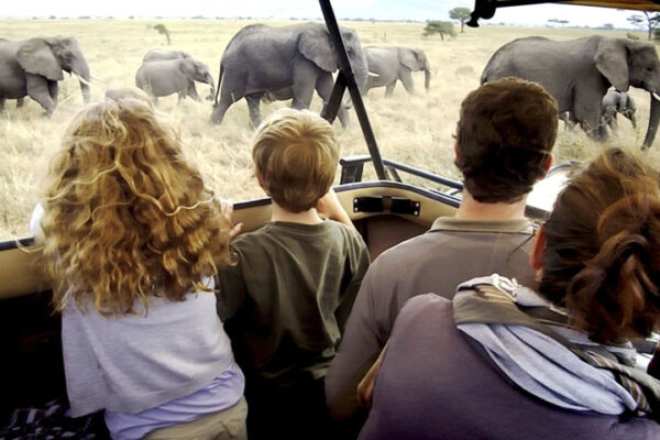 Tanzania Group Safaris Tanzania Group Safaris