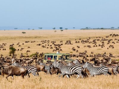 Wildebeest Migration Packages