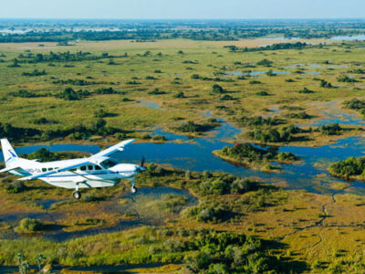 Botswana Fly In Safari