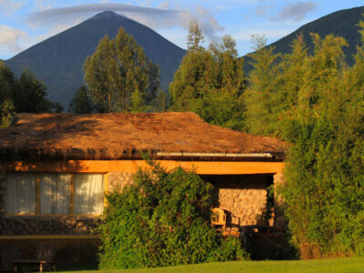 Mountain Gorilla View Lodge