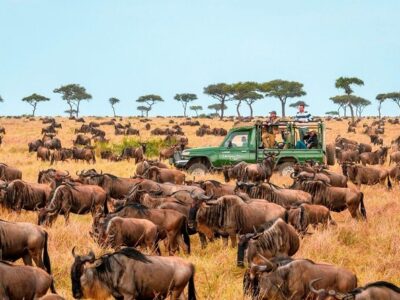 3 Days Masai Mara Safari JimJam