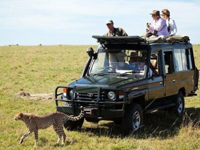 3 Days Masai Mara Safari JimJam Tours