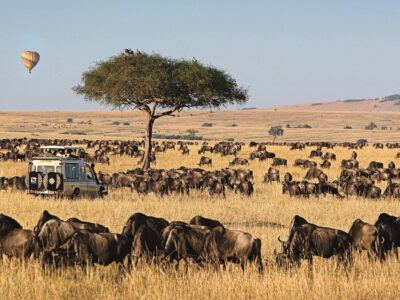 5-Day Luxury Great Migration Tour