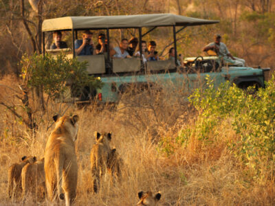 Game Drives