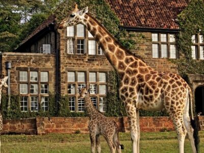 Giraffe Manor