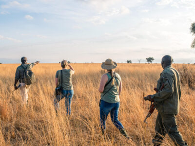 Guided Walking Safaris