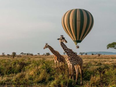 Hot Air Balloon Safaris In Uganda