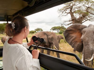 JimJam-Safaris-Africa-Drives