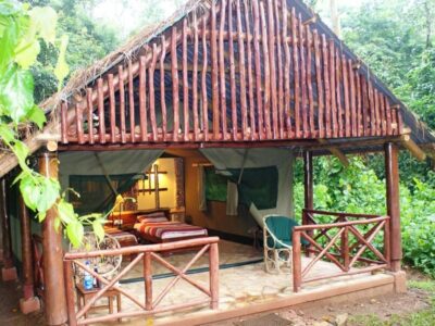 Kibale Forest Camp