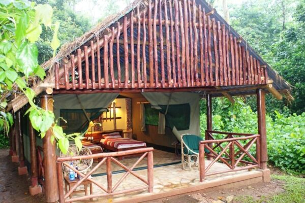 Kibale Forest Camp Kibale Forest Camp