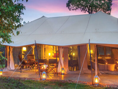 Porini Lion Camp