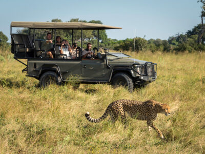 Private Botswana Safaris