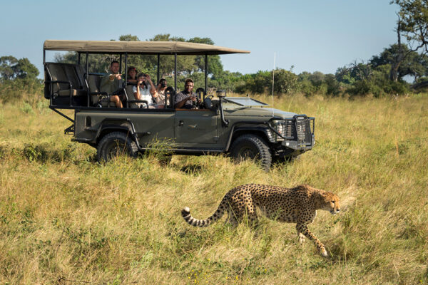 Private Botswana Safaris