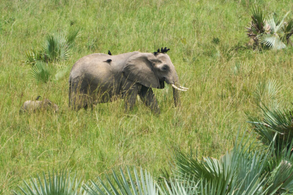 Southern Africa Southern Africa