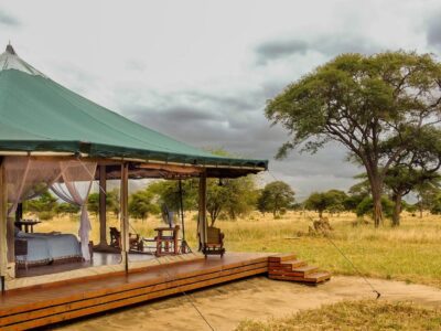 Tarangire safari lodge