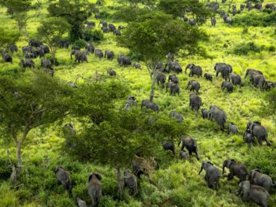 Virunga National Park