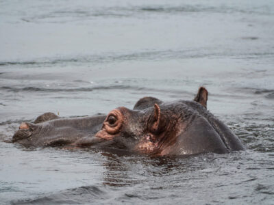 National Parks In Mozambique