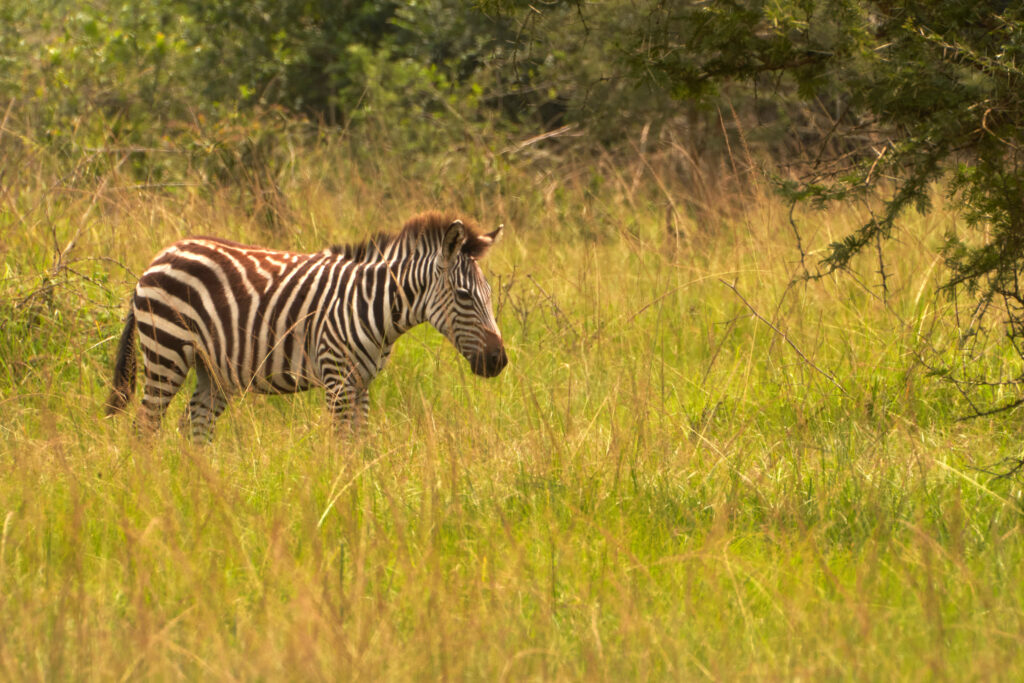 Start a Reservation visual data 5