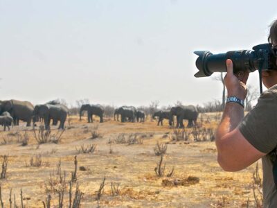 Africa Solo Safaris