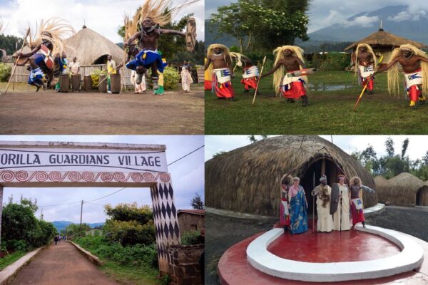 Gorilla Guardians Village Gorilla Guardians Village