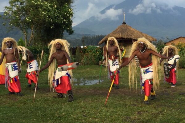 Gorilla Guardians Village Safaris Gorilla Guardians Village Safaris