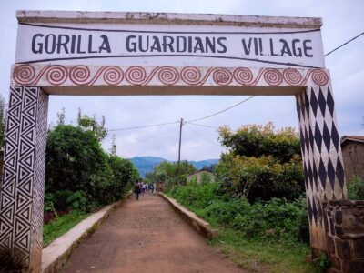 Gorilla Guardians Village Tours