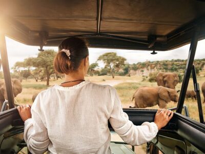 Solo Safaris Africa