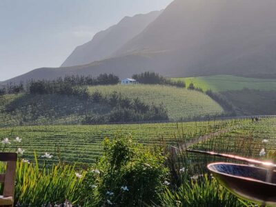 Stellenbosch & Franschhoek – Wine Country Elegance