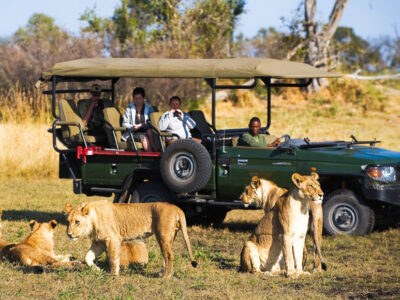 Best Time To Visit Botswana Safaris