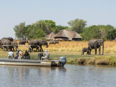 Best Time To Visit Botswana Tours