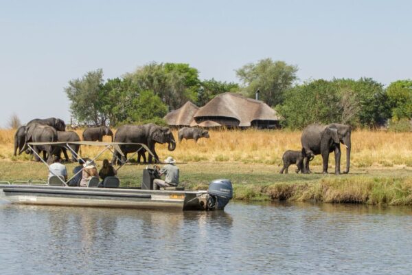 Best Time To Visit Botswana Tours Best Time To Visit Botswana Tours