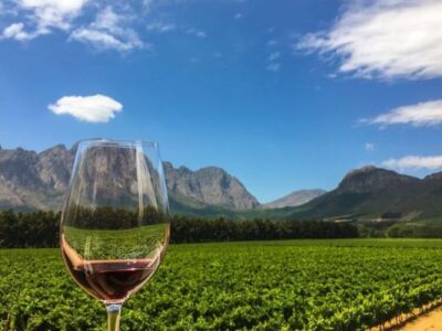 Cape Winelands