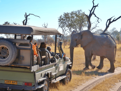 Okavango Delta & Chobe Family Safari