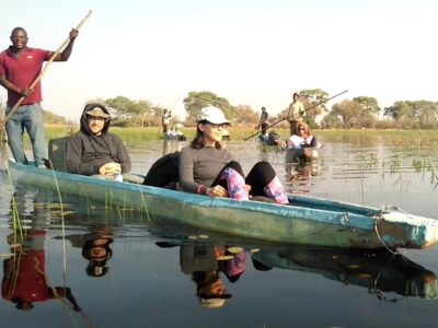 Okavango Delta Safaris Africa