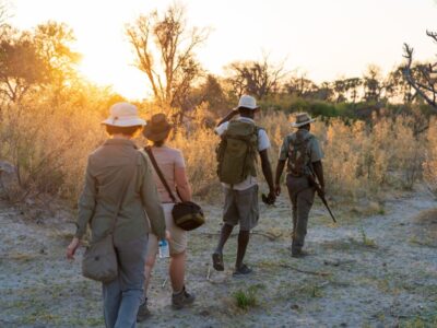 Okavango Delta Walking