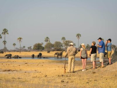 South Africa Family Tours Africa