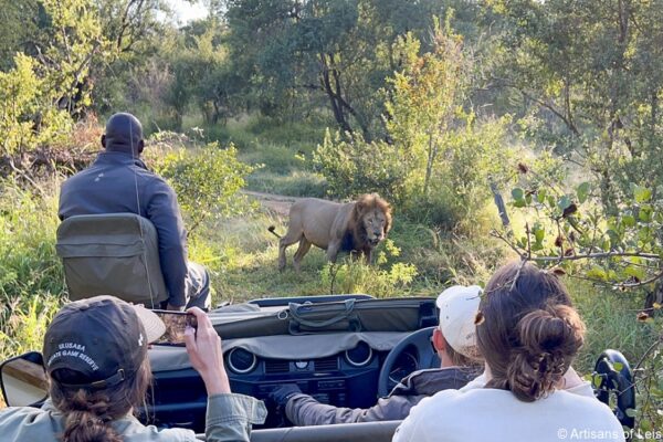 South Africa Family Tours JimJam Safaris