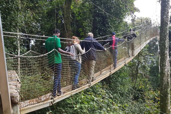 Nyungwe Forest National Park Rwanda Nyungwe Forest National Park Rwanda