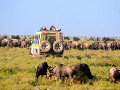 Packages For Vacationers In Africa